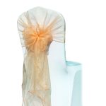 10Pc Peach Organza Hood