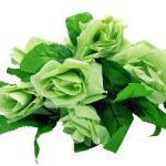 Light Green Rose Garland (1pc)