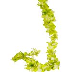 Grüne Hortensien-Girlande (2 Stück)