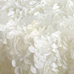 2FT x 6FT (60CM X 180CM) Elfenbein Rosette Hintergrund